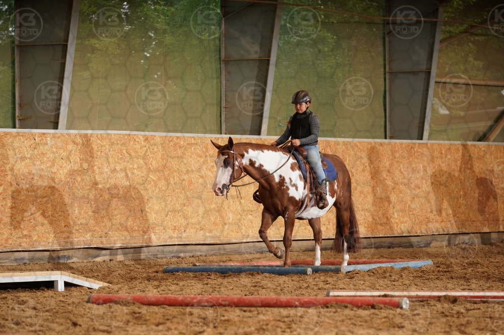 s_A9_08857.jpg